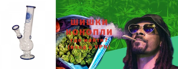 дживик Магас
