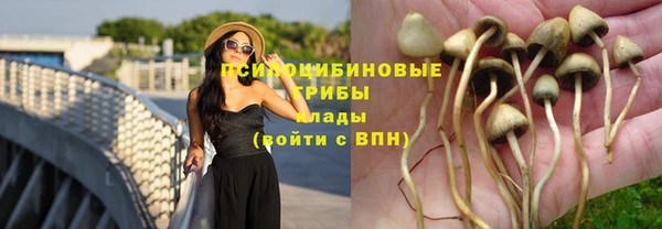 дживик Магас