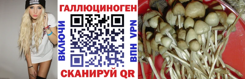 продажа наркотиков  Таганрог  Галлюциногенные грибы Psilocybine cubensis 