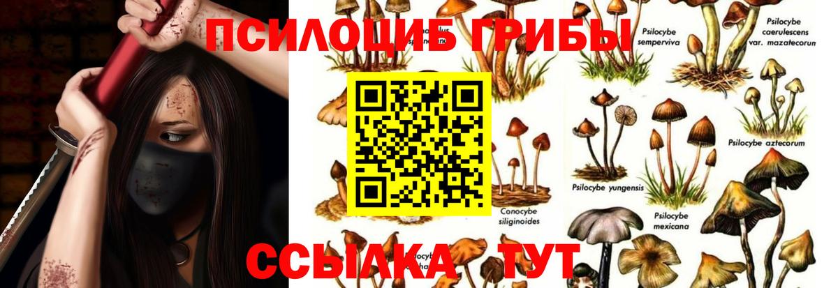Галлюциногенные грибы мицелий  Псилоцибиновые грибы прущие грибы  Вход с VPN  Таганрог 
