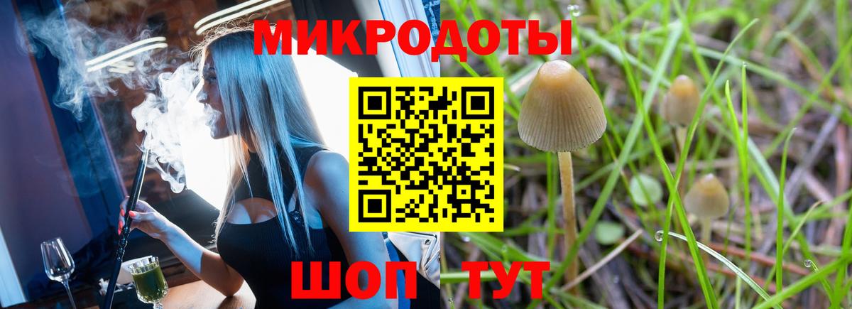 Псилоцибиновые грибы Magic Shrooms Таганрог